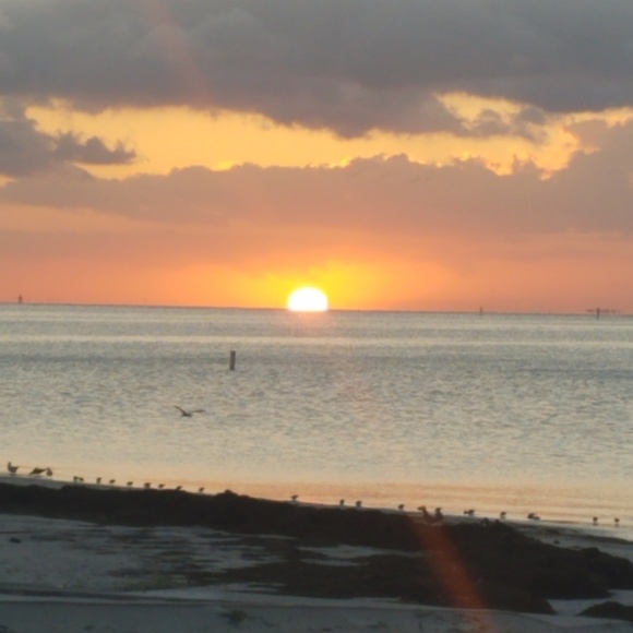 Meet your Posher, Chantel - Picture 1 of 1